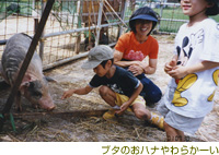 ＡＯ幼児教室授業風景